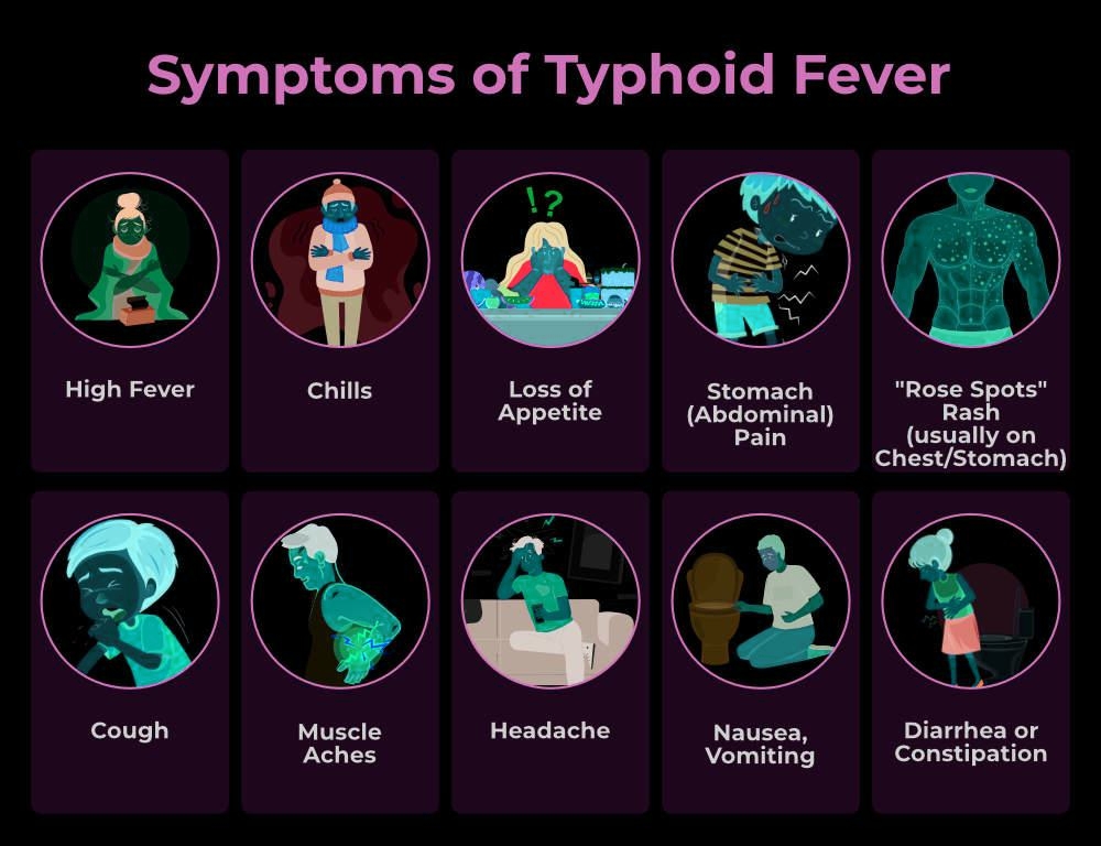 Typhoid की पूरी जानकारी हिंदी में – लक्षण, कारण और उपचार