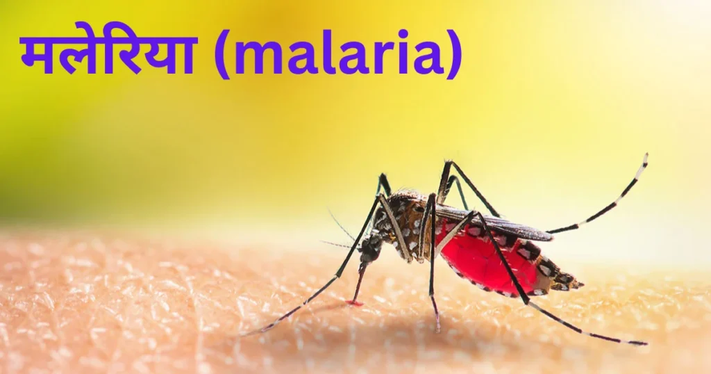 मलेरिया का कारण (Causes of Malaria)